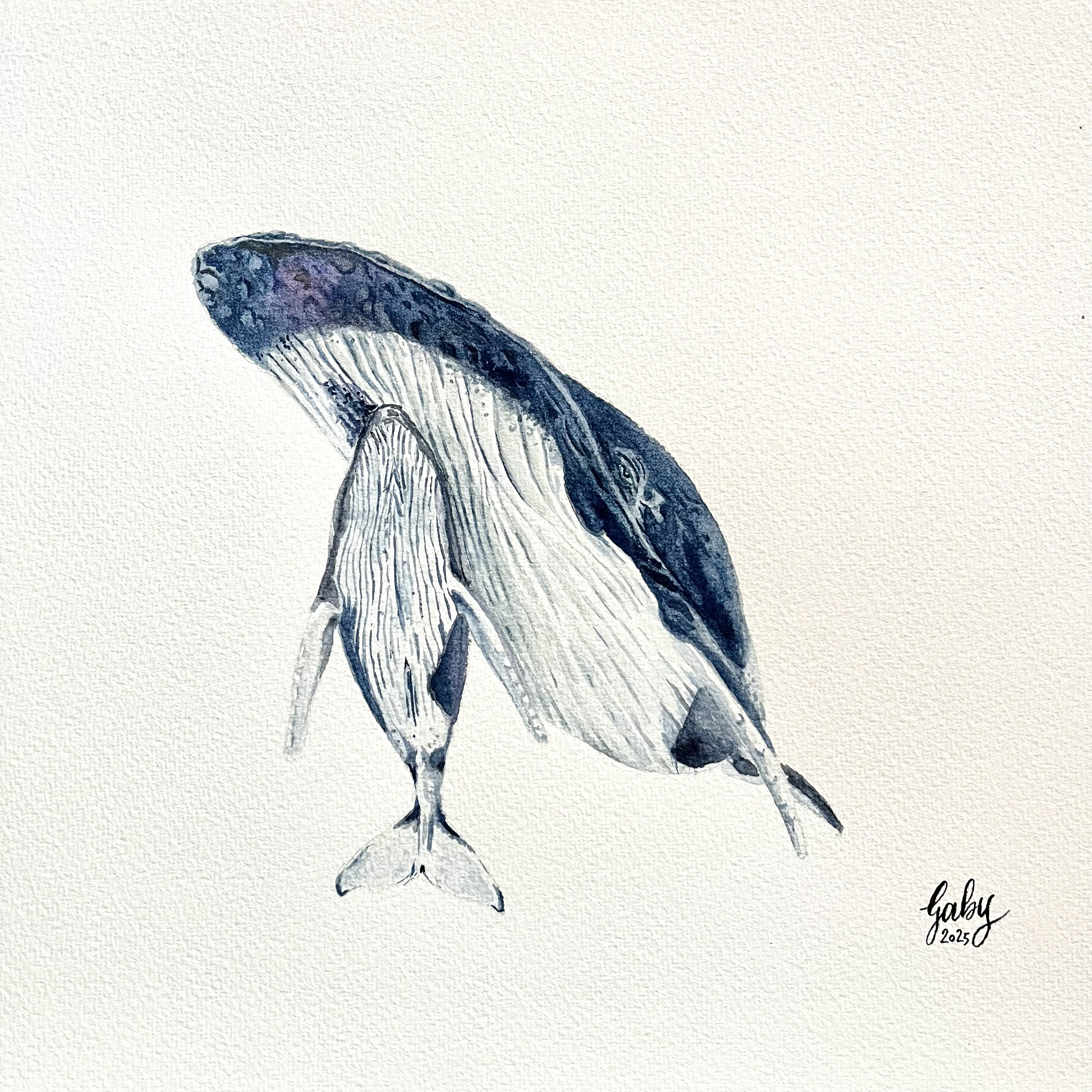 Great Whale 2025 36x26 cm